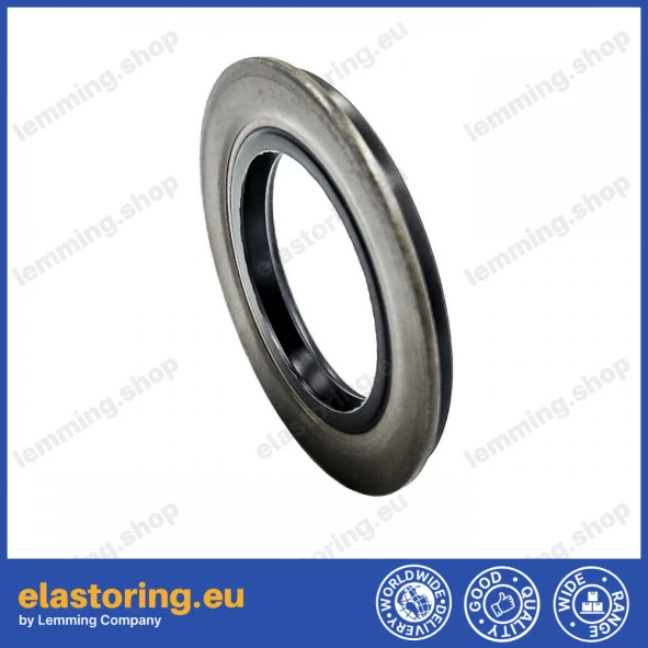 Oil seal 28x47x4,2/5,5 B1SF NBR [34004806]